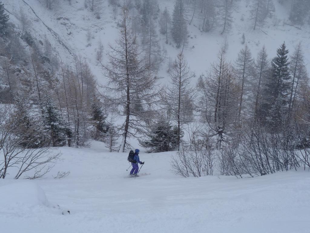 Cliqeu pour voir l'image suivante