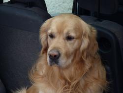 Clic pour agrandir l'image (1024x768 pixels; 72 KB)