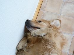 Clic pour agrandir l'image (1024x768 pixels; 85 KB)