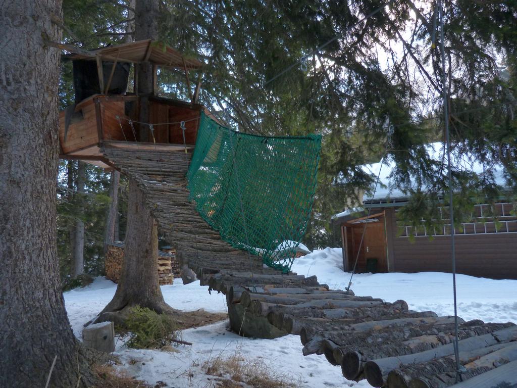 Cliqeu pour voir l'image suivante