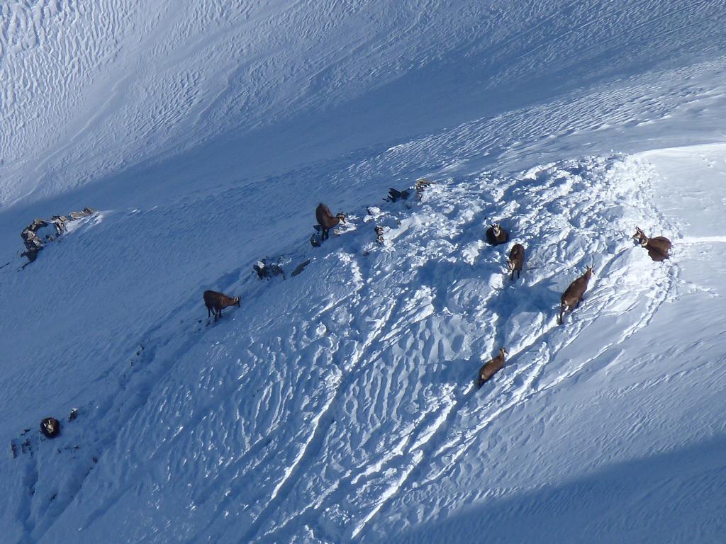 Cliqeu pour voir l'image suivante