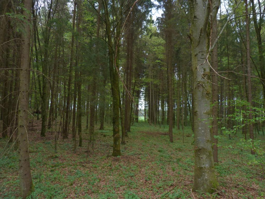 Cliqeu pour voir l'image suivante