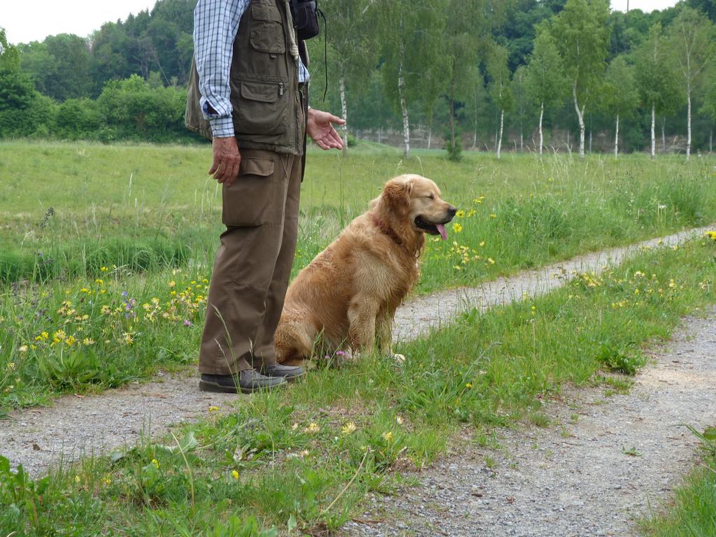 Cliqeu pour voir l'image suivante