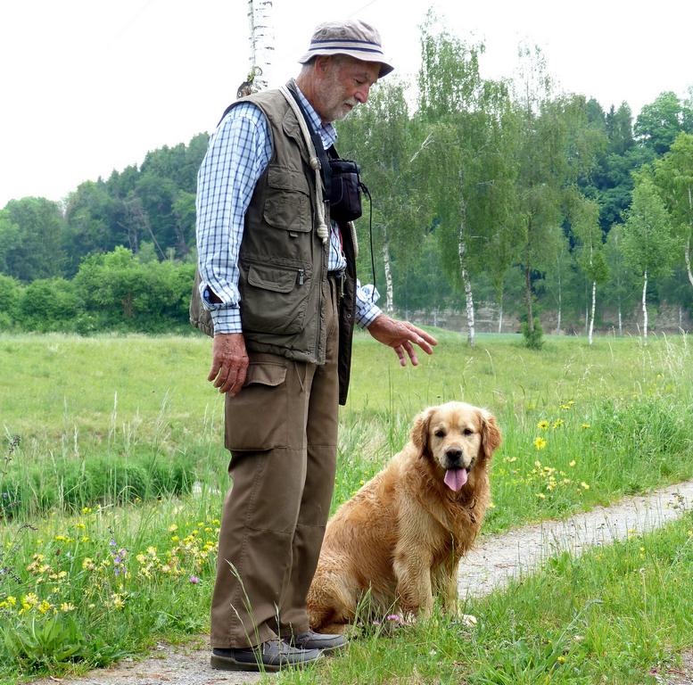 Cliqeu pour voir l'image suivante