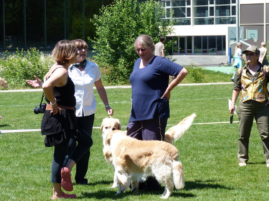 Cliqeu pour voir l'image suivante