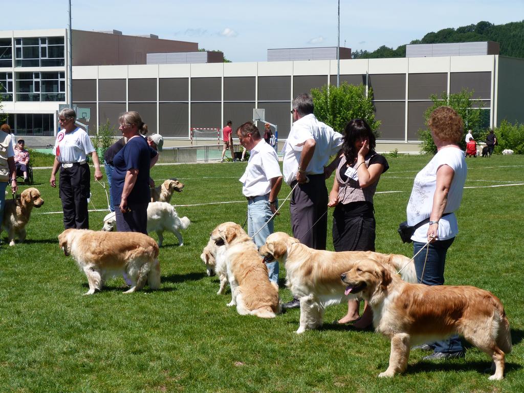 Cliqeu pour voir l'image suivante