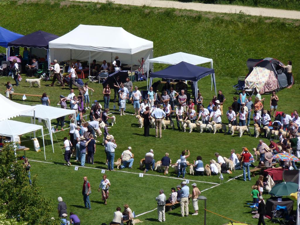 Cliqeu pour voir l'image suivante