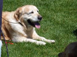 Clic pour agrandir l'image (1024x768 pixels; 214 KB)