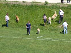 Clic pour agrandir l'image (1024x768 pixels; 161 KB)