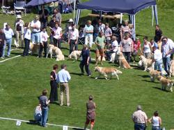 Clic pour agrandir l'image (1024x768 pixels; 170 KB)