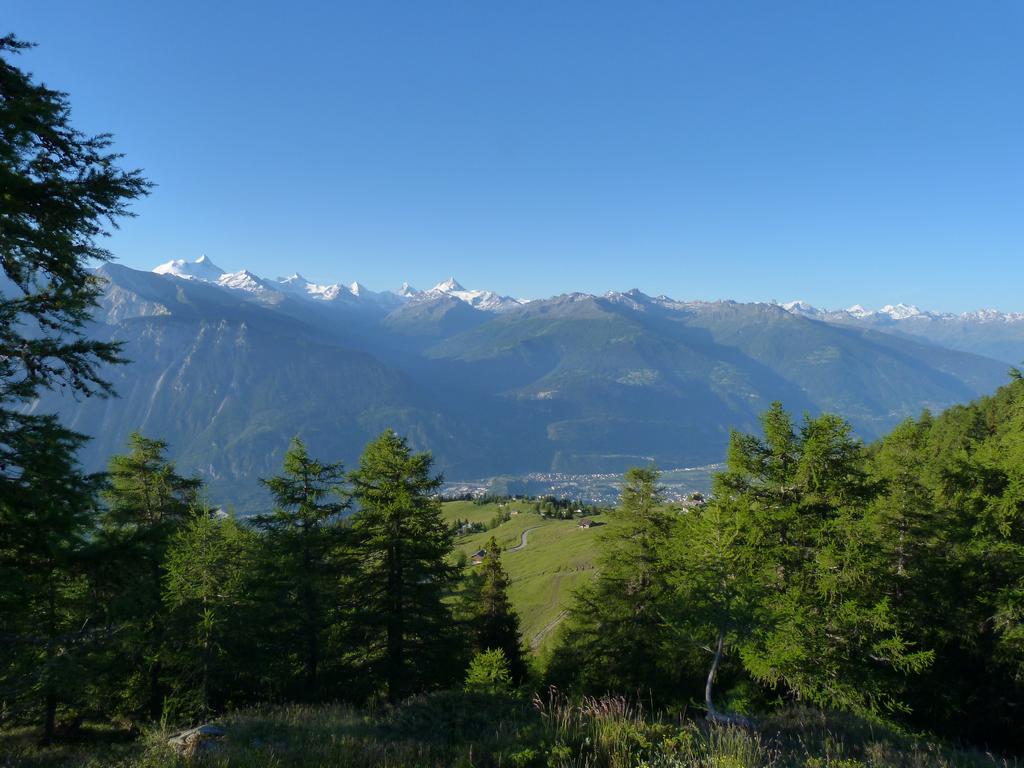 Cliqeu pour voir l'image suivante