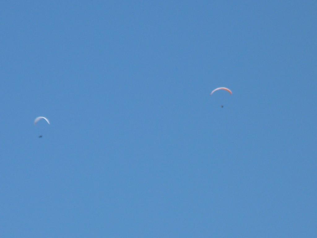 Cliqeu pour voir l'image suivante