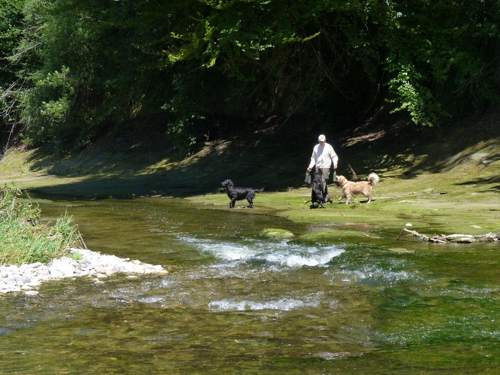 Clique pour voir l'image suivante
