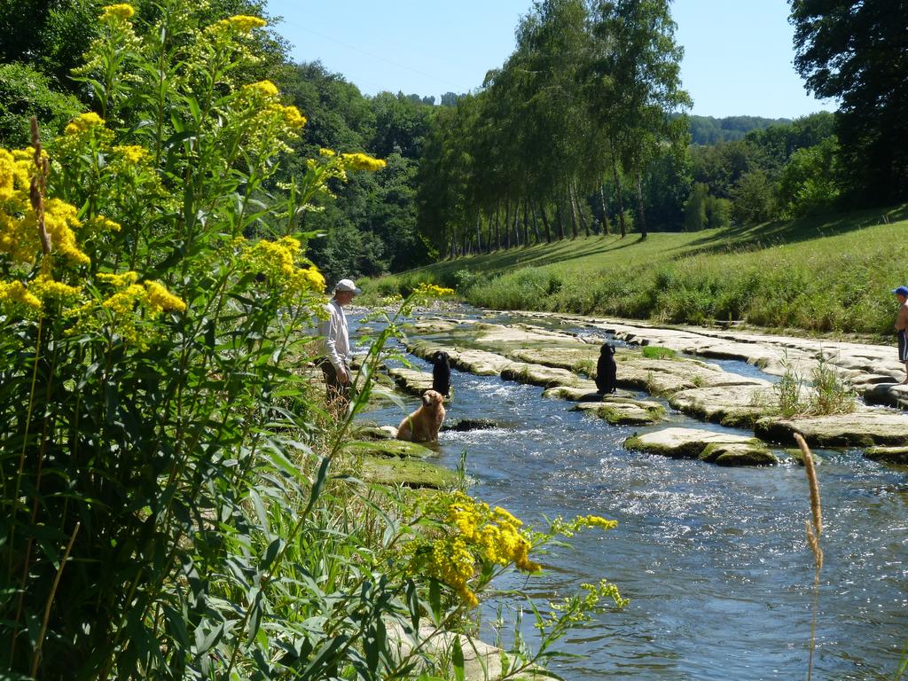 Clique pour voir l'image suivante