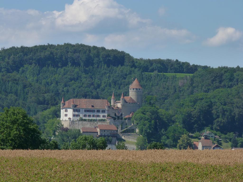 Clique pour voir l'image suivante