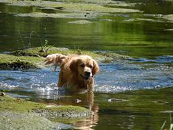 Clic pour agrandir l'image (1024x768 pixels; 142 KB)