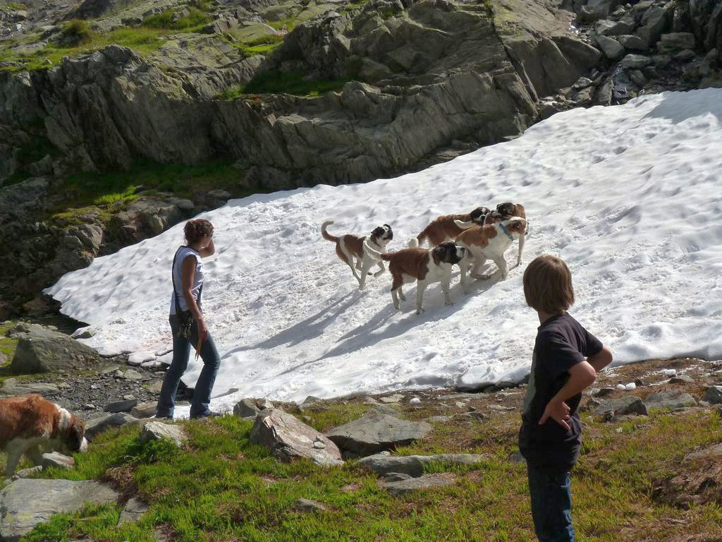 Clic pour l'image suivante