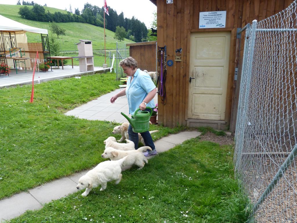 Clic pour l'image suivante