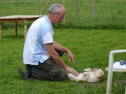 Clic pour agrandir l'image (1024x768 pixels; 169 KB)