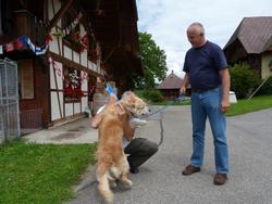 Clic pour agrandir l'image (1024x768 pixels; 133 KB)