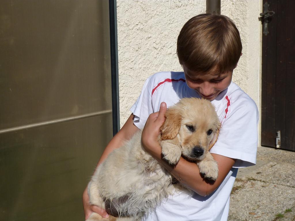 Clic pour l'image suivante