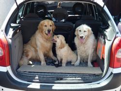 Clic pour agrandir l'image (1024x768 pixels; 112 KB)