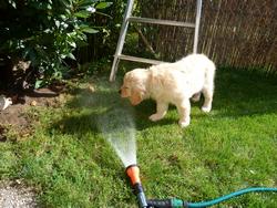 Clic pour agrandir l'image (1024x768 pixels; 233 KB)