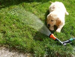 Clic pour agrandir l'image (1024x768 pixels; 275 KB)