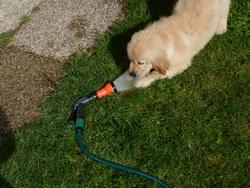 Clic pour agrandir l'image (1024x768 pixels; 222 KB)