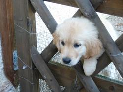 Clic pour agrandir l'image (1024x768 pixels; 89 KB)