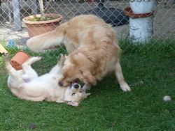 Clic pour agrandir l'image (1024x768 pixels; 184 KB)