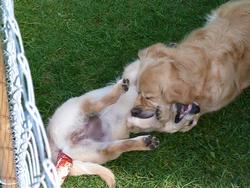 Clic pour agrandir l'image (1024x768 pixels; 170 KB)