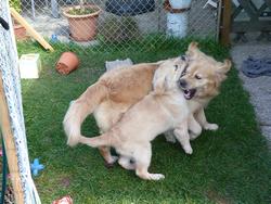 Clic pour agrandir l'image (1024x768 pixels; 194 KB)