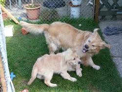 Clic pour agrandir l'image (1024x768 pixels; 188 KB)