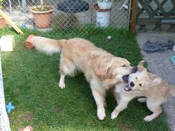 Clic pour agrandir l'image (1024x768 pixels; 204 KB)