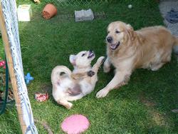 Clic pour agrandir l'image (1024x768 pixels; 200 KB)