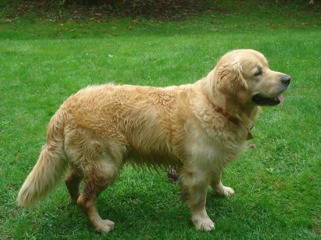 Clic pour l'image suivante