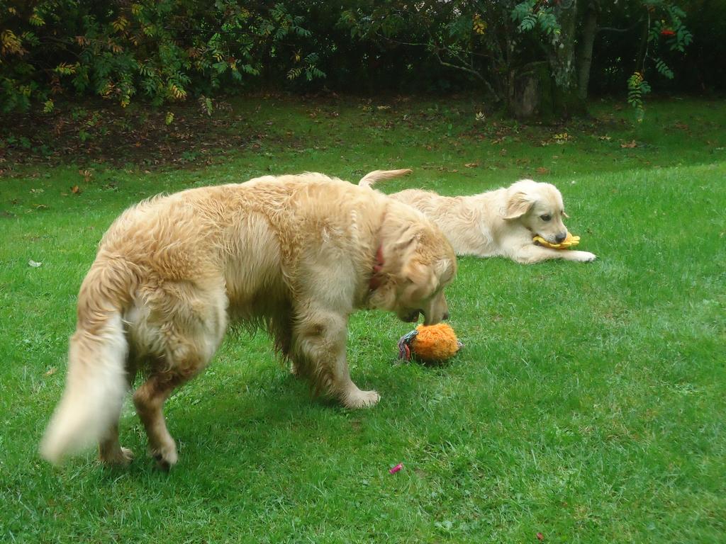 Clic pour l'image suivante