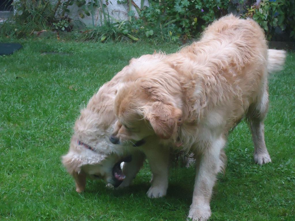 Clic pour l'image suivante