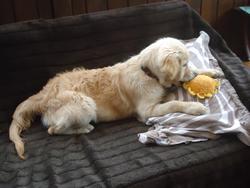 Clic pour agrandir l'image (1024x768 pixels; 83 KB)