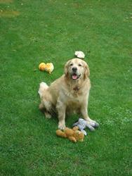 Clic pour agrandir l'image (576x768 pixels; 103 KB)