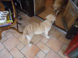 Clic pour agrandir l'image (1024x768 pixels; 76 KB)