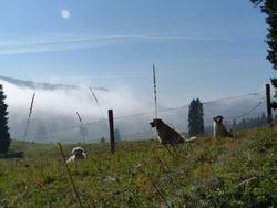 Clic pour agrandir l'image (1024x768 pixels; 99 KB)