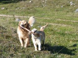 Clic pour agrandir l'image (1024x768 pixels; 202 KB)