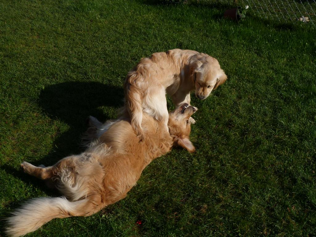 Clic pour l'image suivante