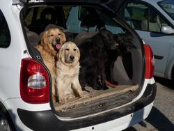 Clic pour agrandir l'image (1024x768 pixels; 103 KB)