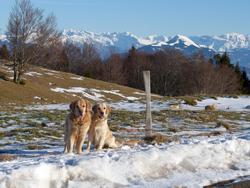 Clic pour agrandir l'image (1024x768 pixels; 158 KB)