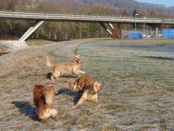 Clic pour agrandir l'image (1024x768 pixels; 198 KB)