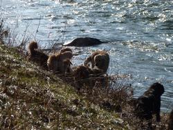 Clic pour agrandir l'image (1024x768 pixels; 225 KB)