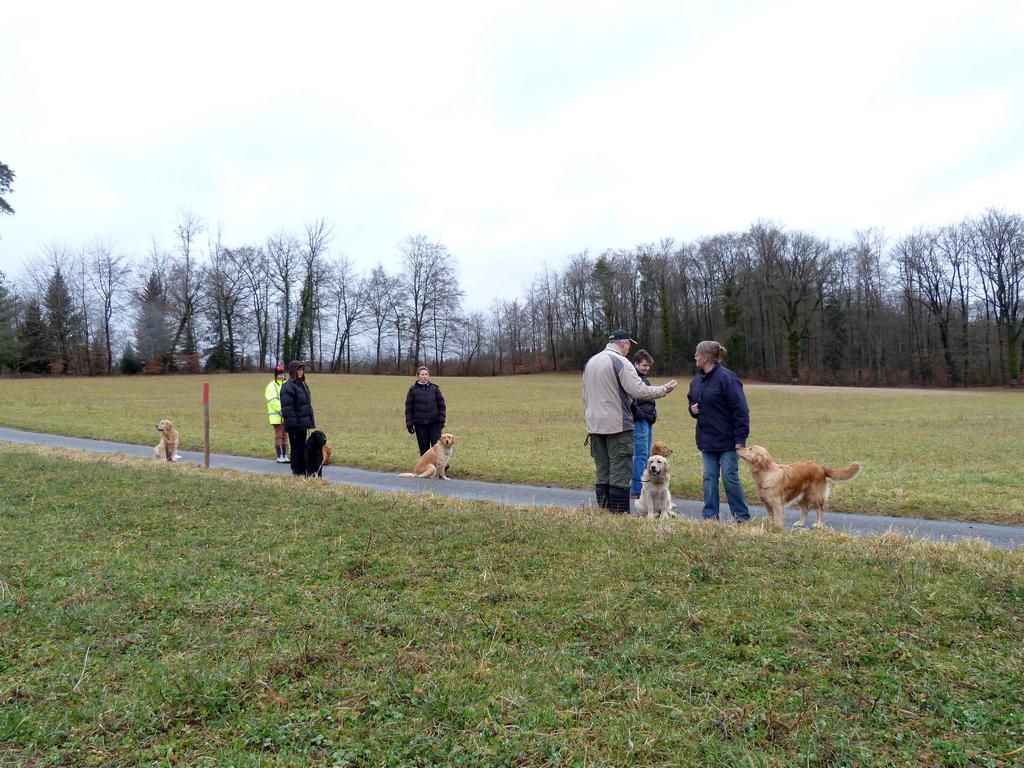 Clic pour l'image suivante